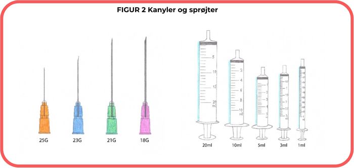 Mangler Injection Intramuskulære injektionsteknikker -Sikker og evidensbaseret praksis i ...