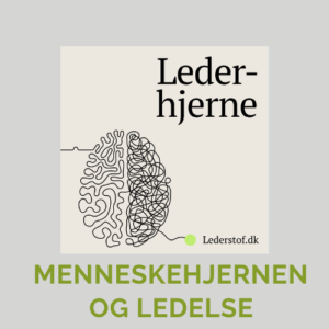 Ledelse, hjernen, mental bæredygtighed, det gode arbejdsliv