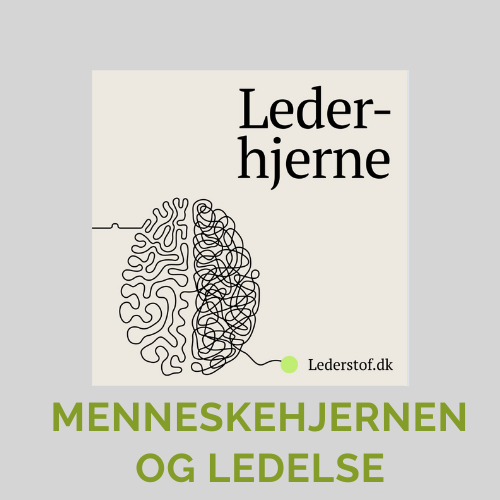 Ledelse, hjernen, mental bæredygtighed, det gode arbejdsliv