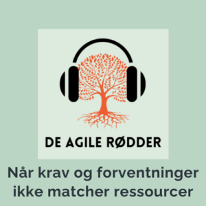 Selvledelse, krav og forventninger i arbejdet, ressourcer