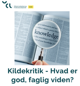 Kildekritik, faglig viden