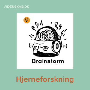 Hjerneforskning