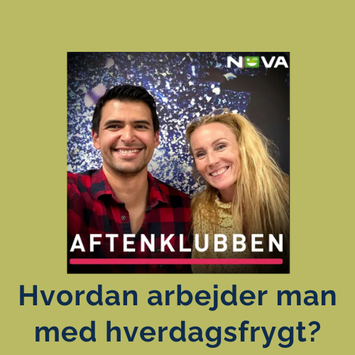 frygt i hverdagen