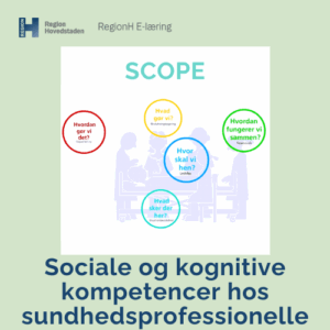 Klinisk praksis og færdigheder, sundhedsfaglig viden, sociale og kognitive kompetencer, højne patientsikkerhed