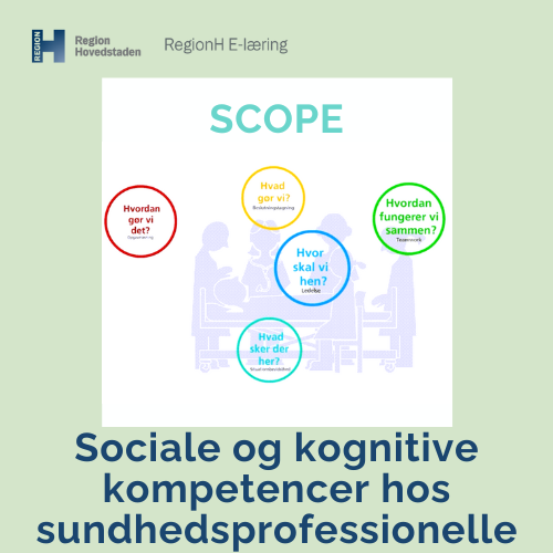 Klinisk praksis og færdigheder, sundhedsfaglig viden, sociale og kognitive kompetencer, højne patientsikkerhed