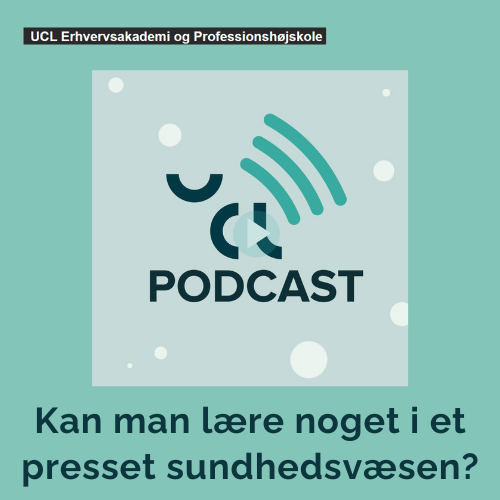 Presset sundhedsvæsen, prksisnærhed i sygeplejerskeuddannelsen