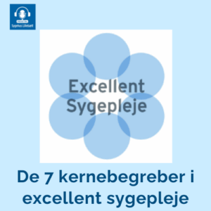Excellent sygepleje, 7 kernebegreber, teoretisk fundment , Sygehus Lillebælt