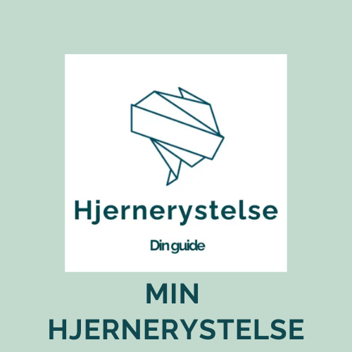 Fakta, anbefalinger, værktøj ved hjernerystelse