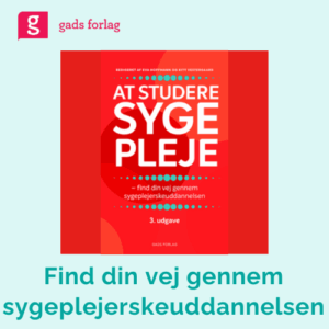 Forventninger og krav på en vidergående uddannelse, Sygeplejerskeuddannelsen