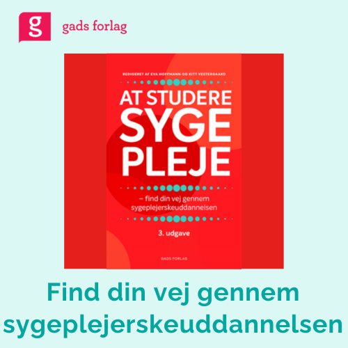 Forventninger og krav på en vidergående uddannelse, Sygeplejerskeuddannelsen