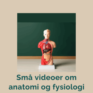 anatomi, fysiologi, undervisningsvideoer