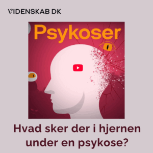 Hjernen, psykoser, hallucinationer, vrangforestillinger