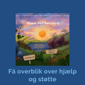 Mistet ved selvmord, akut krisehjælp, hjælpeorganisationer, den første tid, offentlig hjælp og støtte