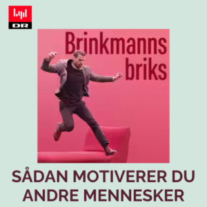 Brinkmanns briks, hvad motiverer mennesker til at arbejde, psykologi