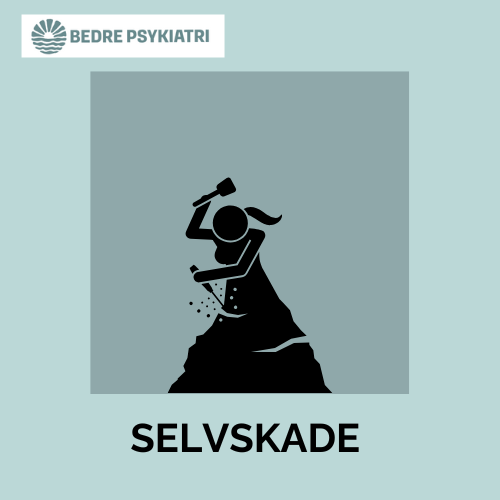 Selvskade, kortfilm, psykiatri, pårørende-spørgsmål, Team for selvskade