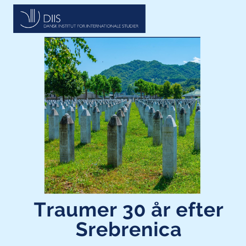 Internationale studier, soldaters traumer efter krig, PTSD