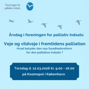 Palliativ indsats