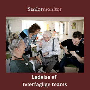 Ledelse, tværfaglige teams, fagprofessionel identitet, helhedspleje, relationel ledelse