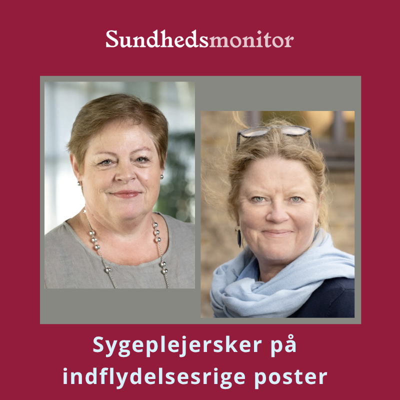 Sygeplejersker på indflydelsesrige poster, helhedssyn, forskning og ledelse, sundhedsfaglige topposter,