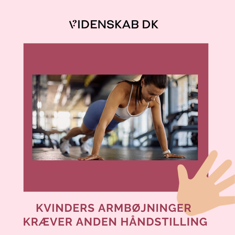 Kvinders fysik, træning, armbøjninger, håndstilling, kropsbalance, skuldertræning, risiko for skader ved træning